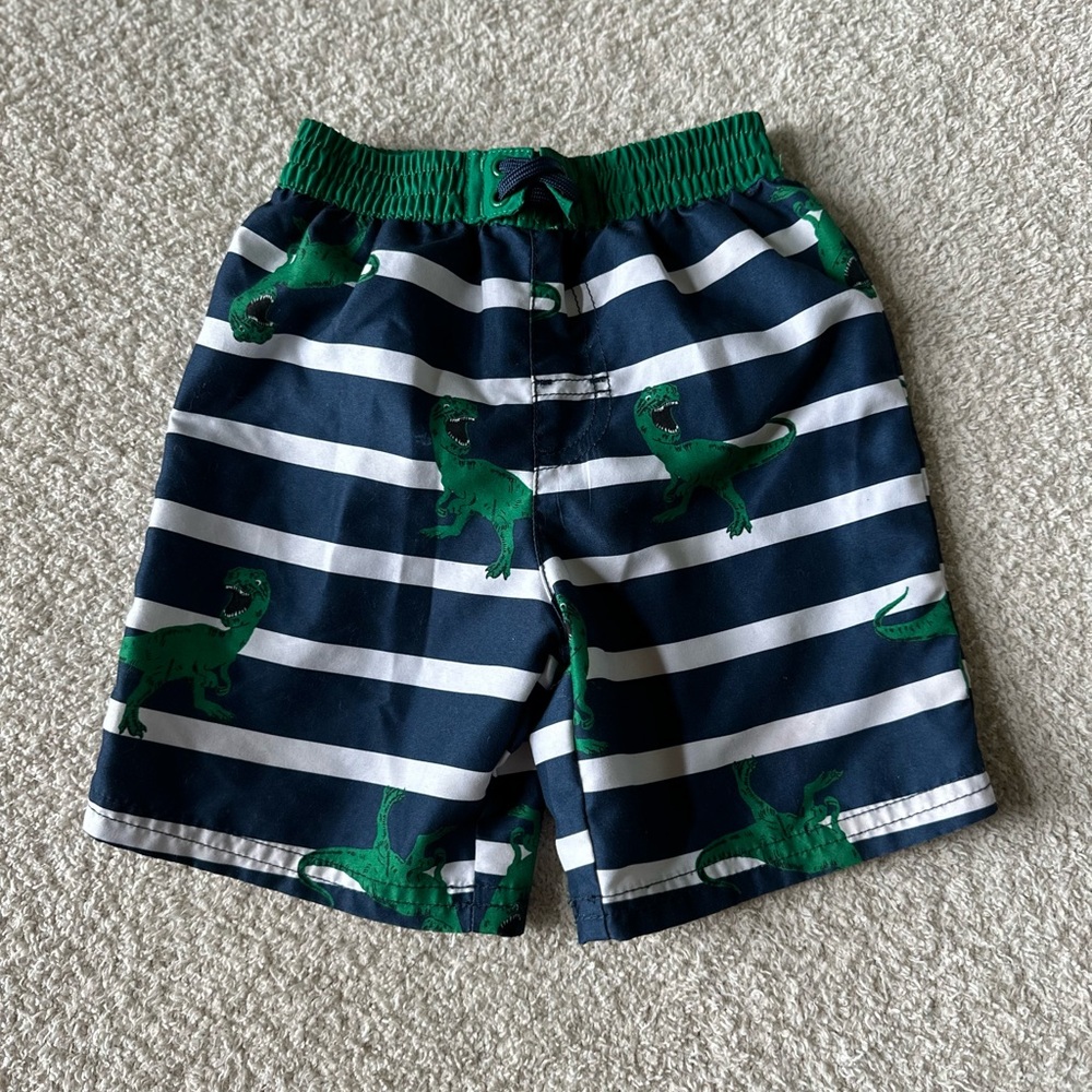 Boys Dinosaur Swimming Trunks